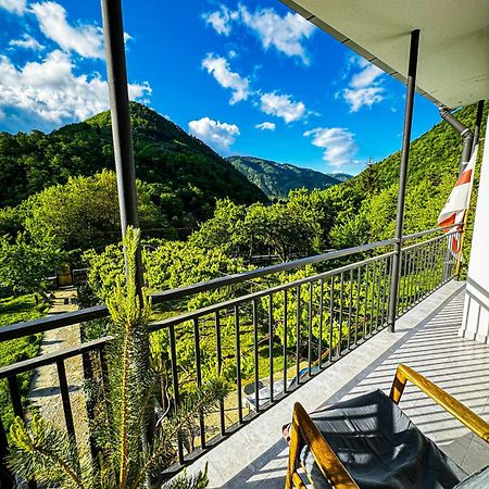Family Hotel Mountain Panorama Bordzjomi Buitenkant foto