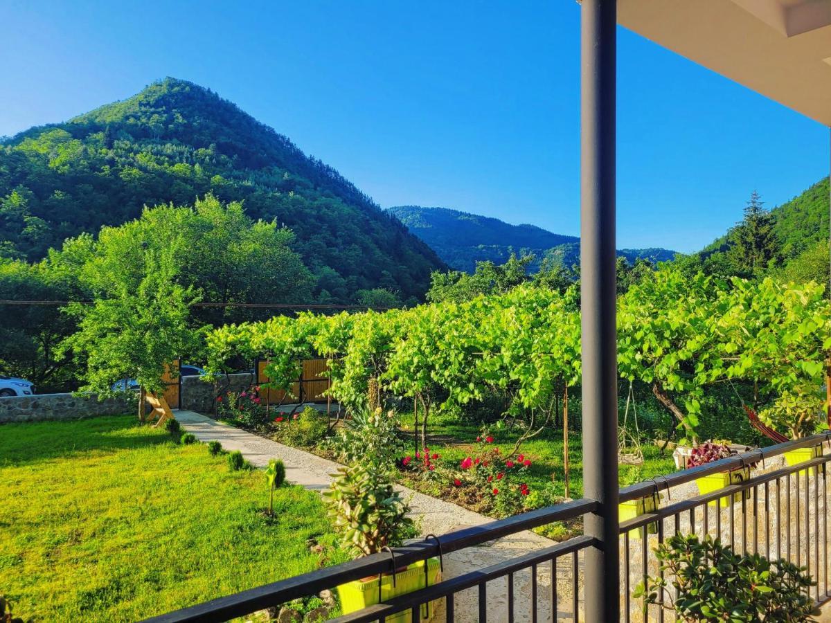 Family Hotel Mountain Panorama Bordzjomi Buitenkant foto