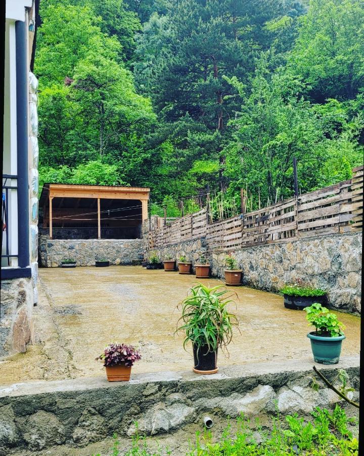 Family Hotel Mountain Panorama Bordzjomi Buitenkant foto