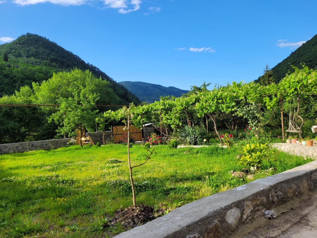 Family Hotel Mountain Panorama Bordzjomi Buitenkant foto