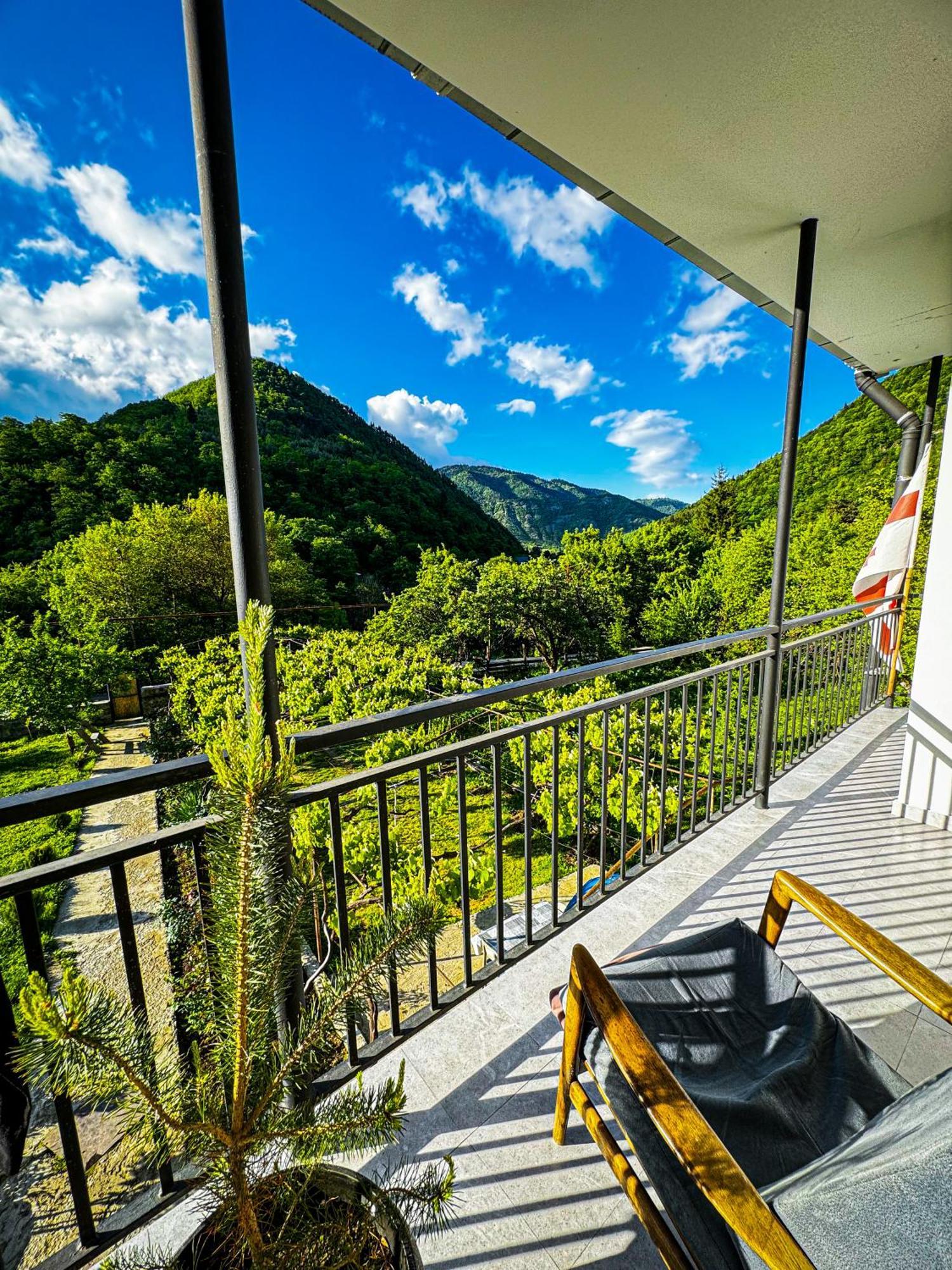 Family Hotel Mountain Panorama Bordzjomi Buitenkant foto